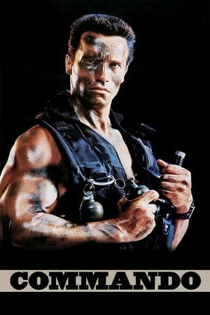 Commando (1985) Hindi Dual Audio 300MB