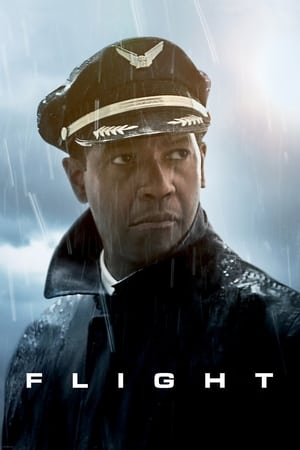 Flight (2012) Hindi Dual Audio 400MB