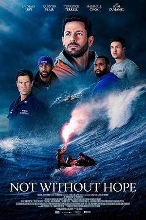 Not Without Hope (2025) Hindi (MULTI AUDIO) – – 1080p
